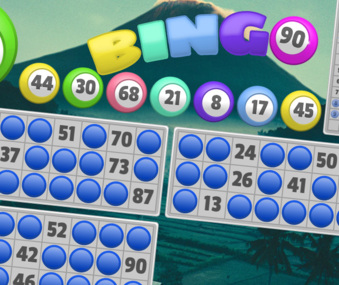 Bingo 90 screenshot