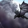 AMDWARLORD