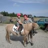 hanne300