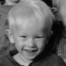 hovmand1991
