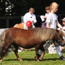 Anja33