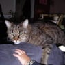 luisa2007