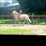 Supersara10