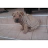 millecb