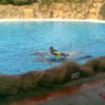 funtoppen