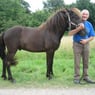 kaas64