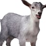 mathiasbusack12