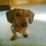 caspy