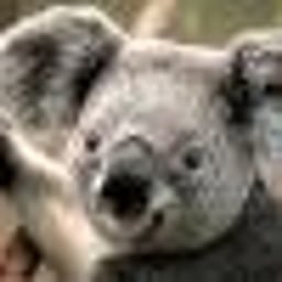 image of Boks