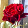 Bluesdk