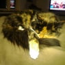 soffy2005