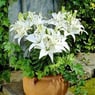 anette05