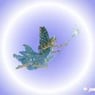 pigetrold