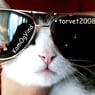 torvet2008