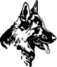 schaefer1974