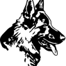 schaefer1974