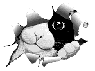 pibe64