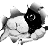 pibe64