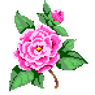 IngerN