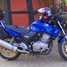 beba14