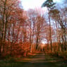 november1