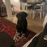 Posetivekathrine