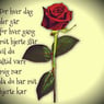 Laura4170