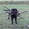 Birthejensen9