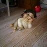 Trold1976