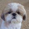 charlieboy94