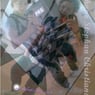 shano11