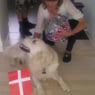 bente12311
