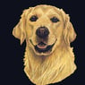 royler
