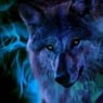 basse876