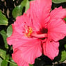 karla173
