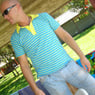 Ludox