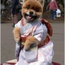 Utaiko