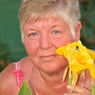 kirstenhasle