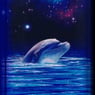 Delfin07