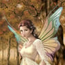 FrFairy