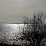 Lullerpigen