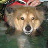 coco019