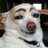 Seamus