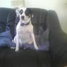 Mrbrunok