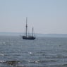 harald24