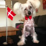 Lilsil