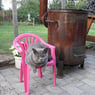 joenne60