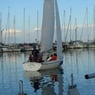 Aage43