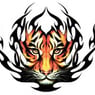 Thecatmand