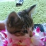 izzy14